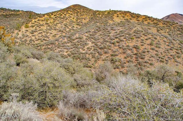 Quail Mountain Drive Property Photo 35