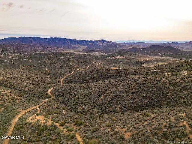 Quail Mountain Drive Property Photo 45