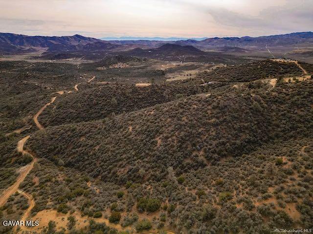 Quail Mountain Drive Property Photo 46