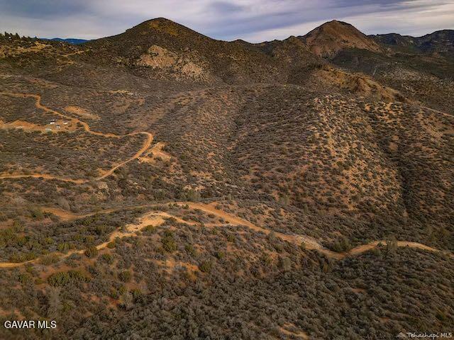 Quail Mountain Drive Property Photo 50