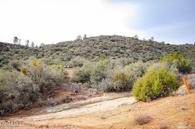 Quail Mountain Drive Property Photo 53