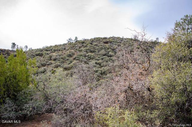 Quail Mountain Drive Property Photo 54