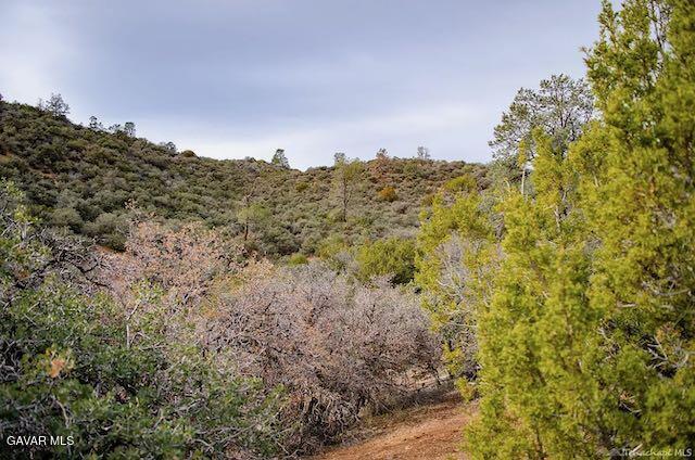 Quail Mountain Drive Property Photo 55