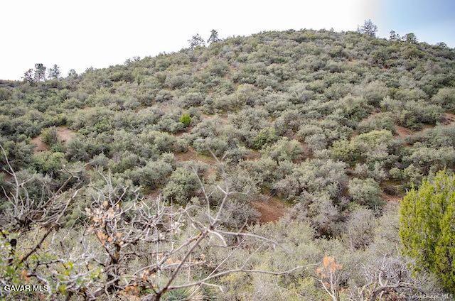 Quail Mountain Drive Property Photo 56