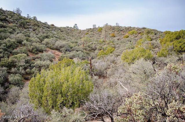 Quail Mountain Drive Property Photo 57