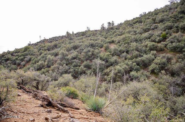 Quail Mountain Drive Property Photo 58