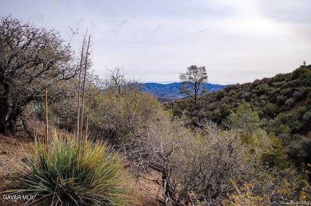 Quail Mountain Drive Property Photo 60