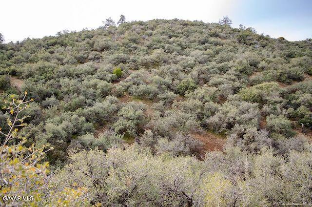 Quail Mountain Drive Property Photo 61