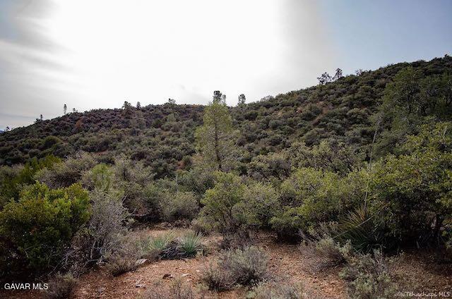 Quail Mountain Drive Property Photo 62