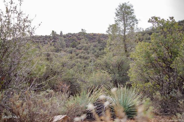 Quail Mountain Drive Property Photo 63