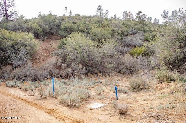 Quail Mountain Drive Property Photo 64