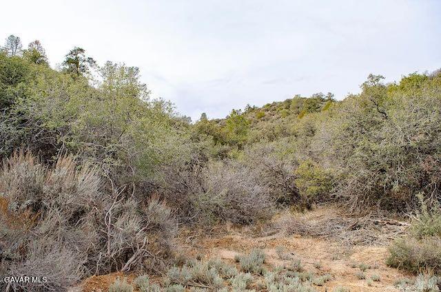 Quail Mountain Drive Property Photo 65