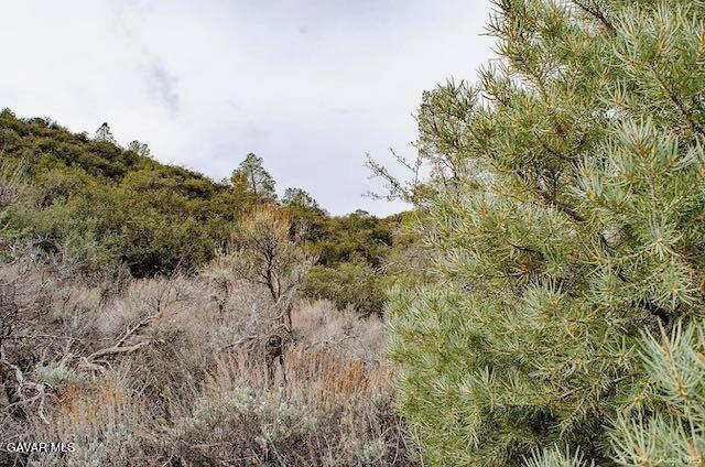 Quail Mountain Drive Property Photo 67