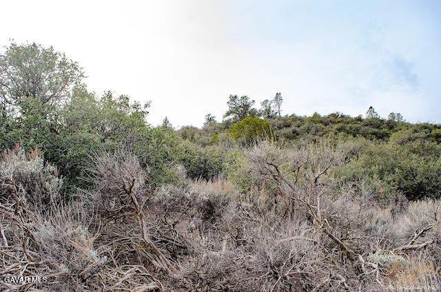 Quail Mountain Drive Property Photo 68