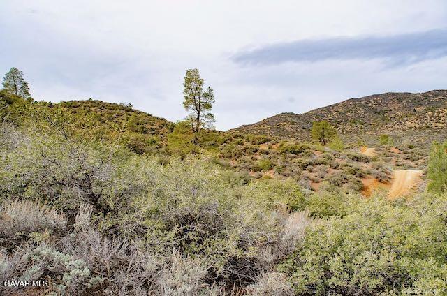 Quail Mountain Drive Property Photo 69