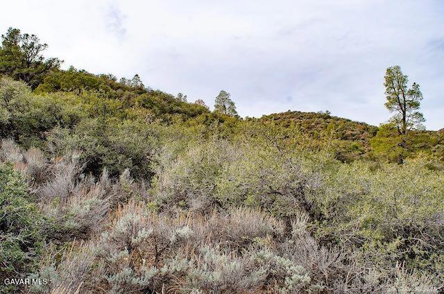 Quail Mountain Drive Property Photo 70