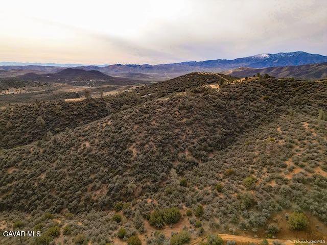 Quail Mountain Drive Property Photo 76