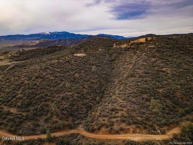 Quail Mountain Drive Property Photo 78