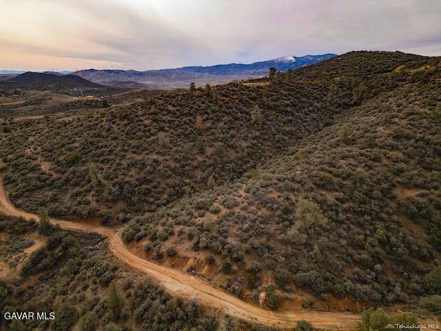 Quail Mountain Drive Property Photo 80