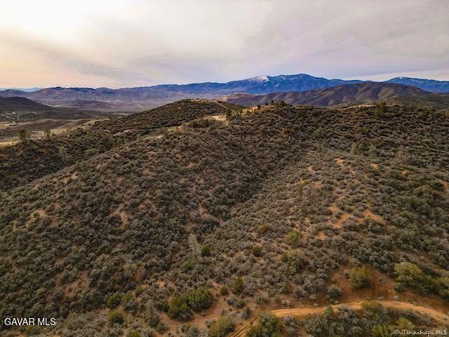 Quail Mountain Drive Property Photo 81