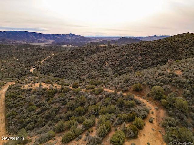 Quail Mountain Drive Property Photo 82