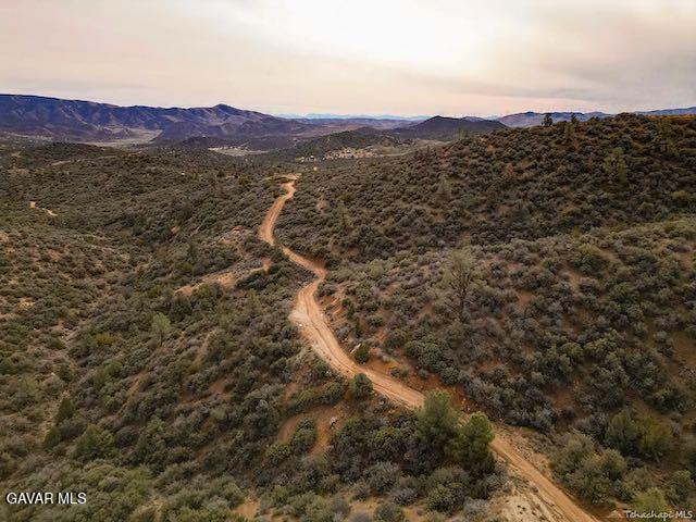 Quail Mountain Drive Property Photo 85