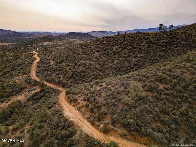 Quail Mountain Drive Property Photo 86