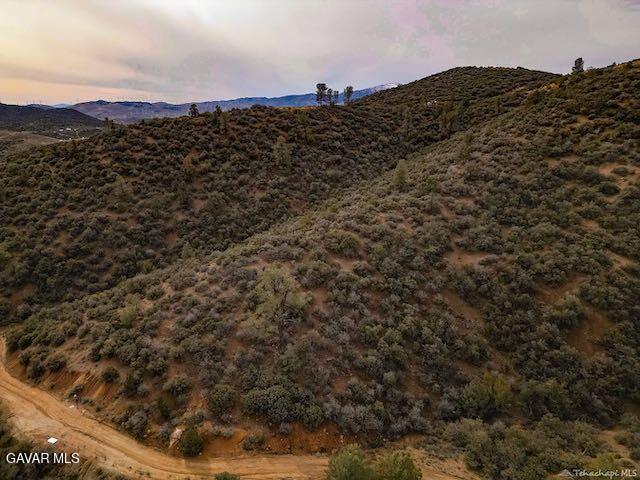 Quail Mountain Drive Property Photo 87