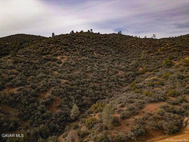 Quail Mountain Drive Property Photo 88