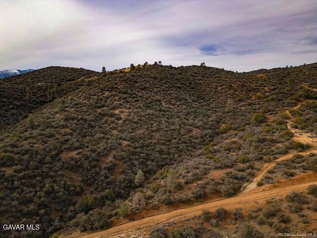 Quail Mountain Drive Property Photo 89