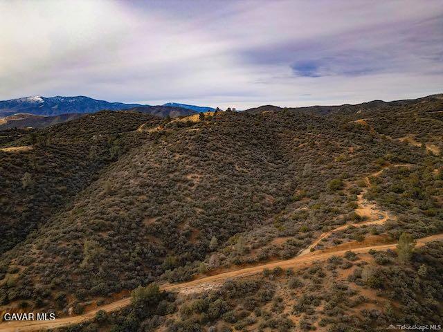 Quail Mountain Drive Property Photo 90