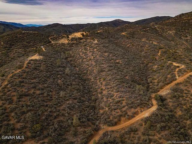 Quail Mountain Drive Property Photo 91