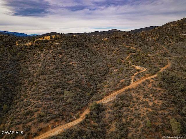 Quail Mountain Drive Property Photo 92