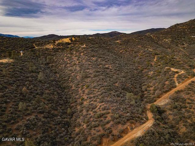 Quail Mountain Drive Property Photo 93
