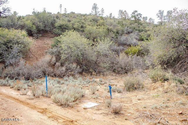 Quail Mountain Drive Property Photo 95