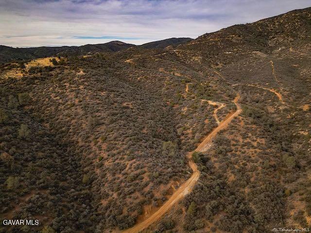 Quail Mountain Drive Property Photo 96
