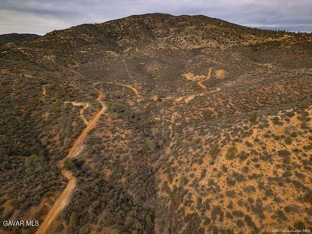 Quail Mountain Drive Property Photo 98