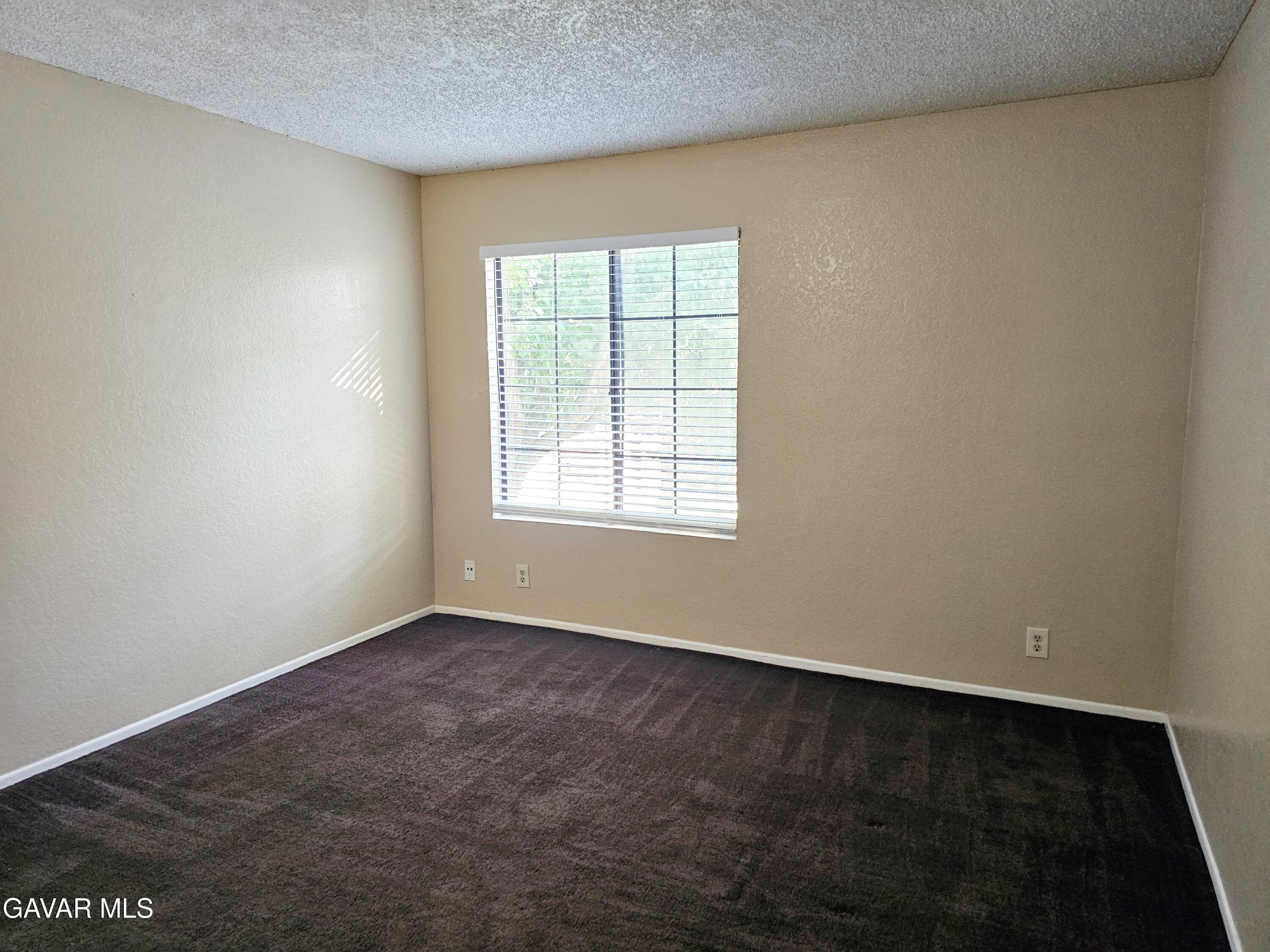 2554 Olive Drive, Apt 10 Property Photo 13