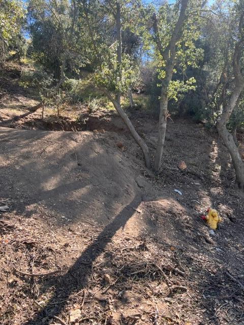Austin Way / Lakeshore Rd Property Photo 2