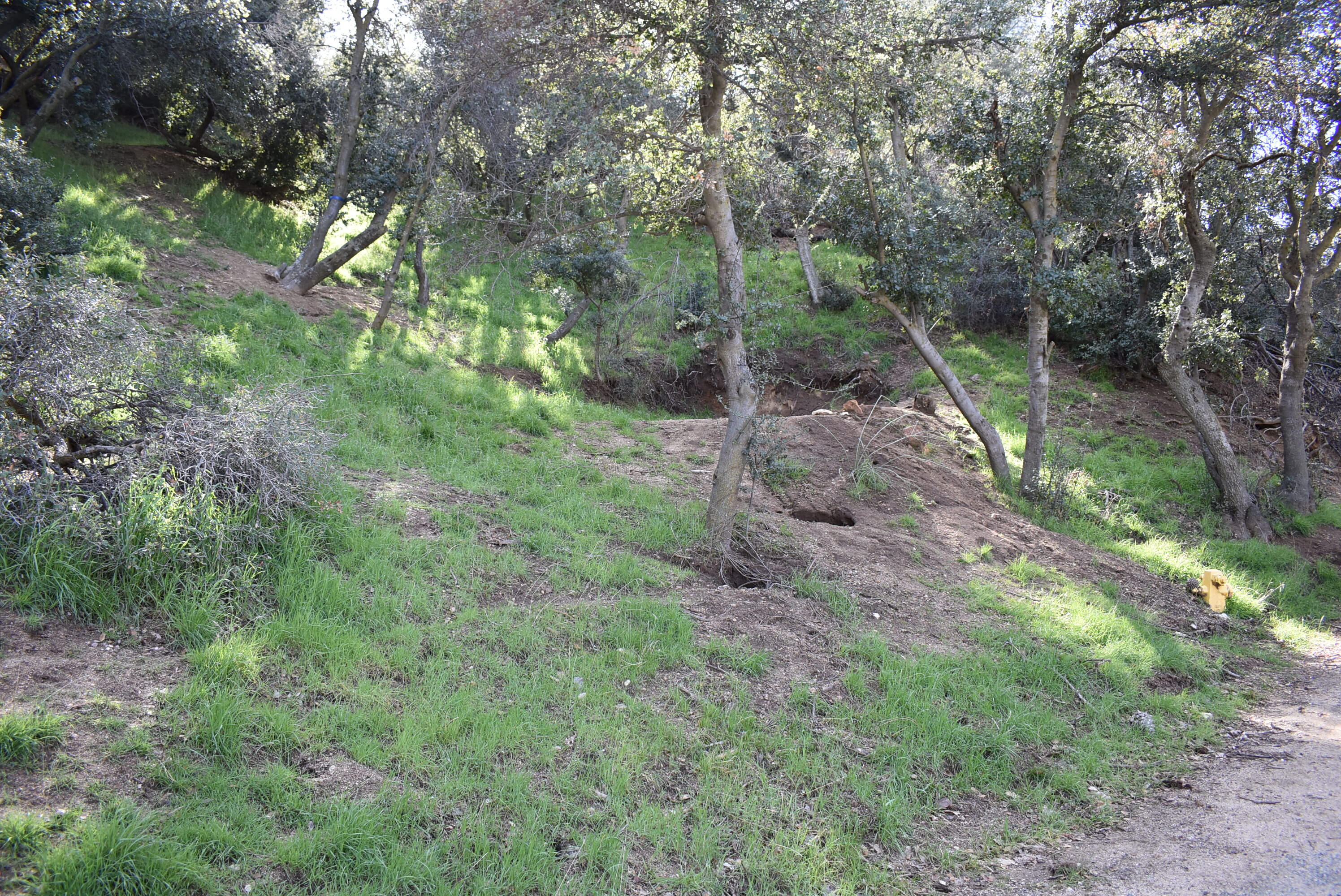 Austin Way / Lakeshore Rd Property Photo 21