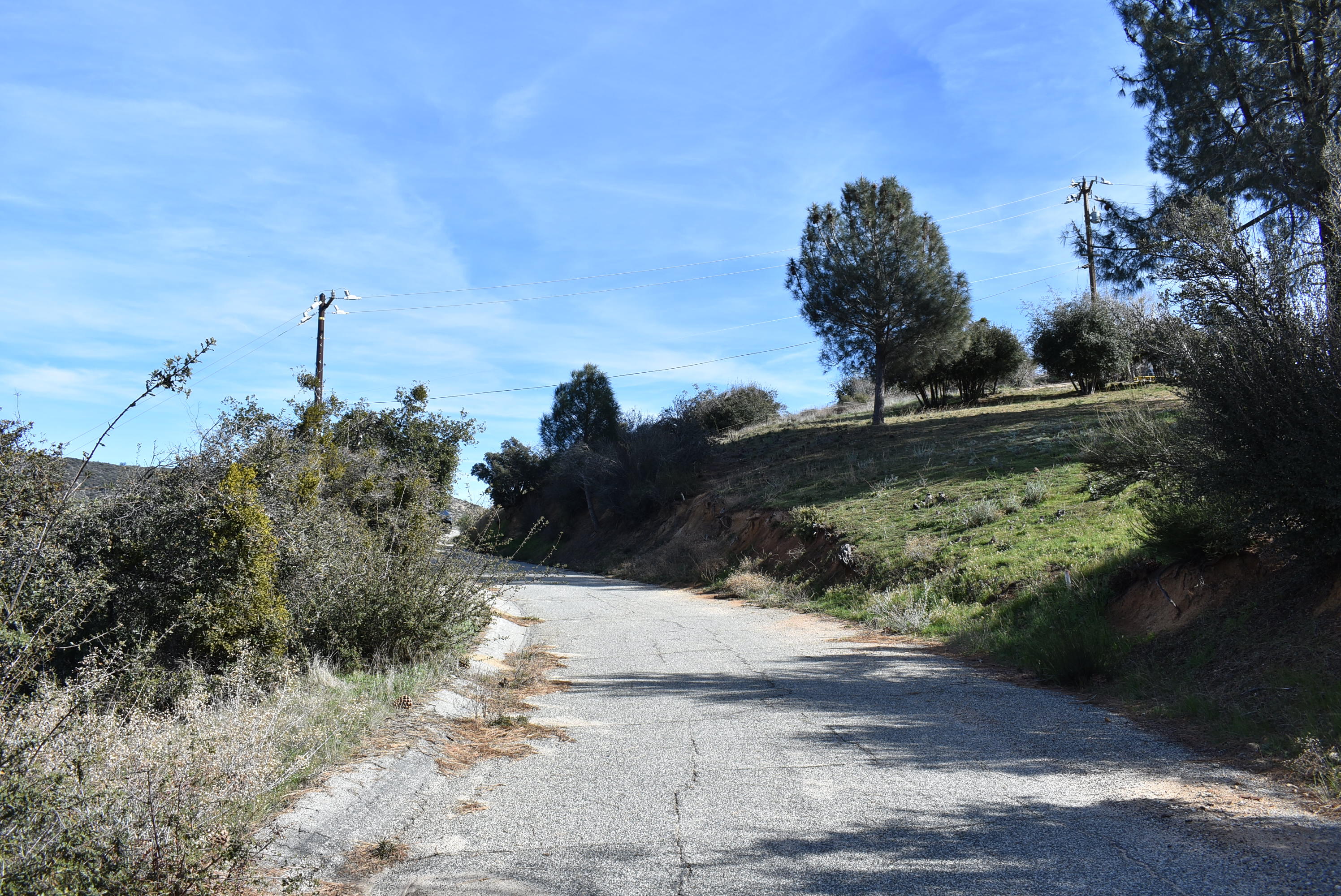 Austin Way / Lakeshore Rd Property Photo 29