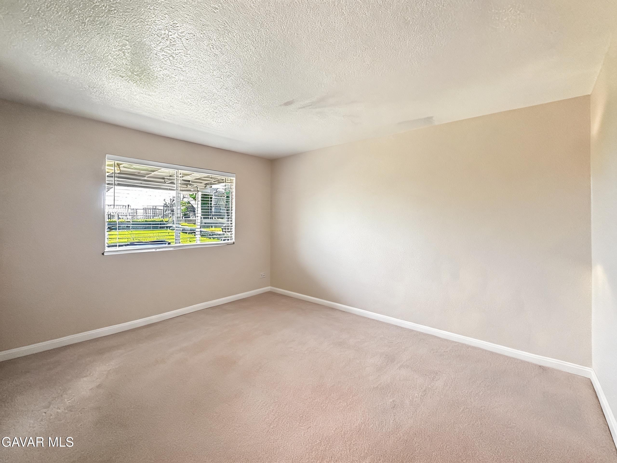 36772 Petra Drive Property Photo 24