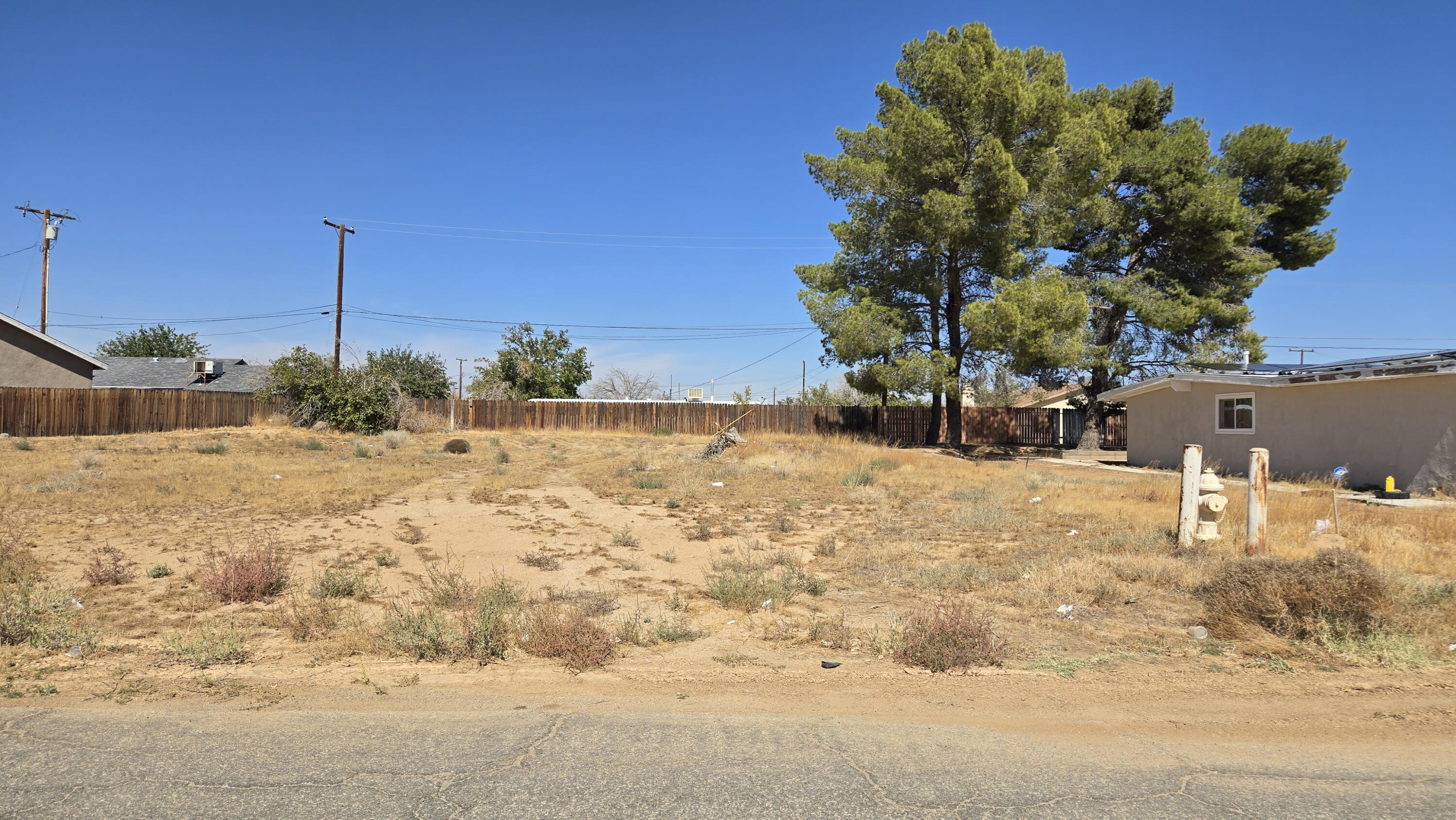 Grapewood Ave Nr Corwin St Property Photo 11