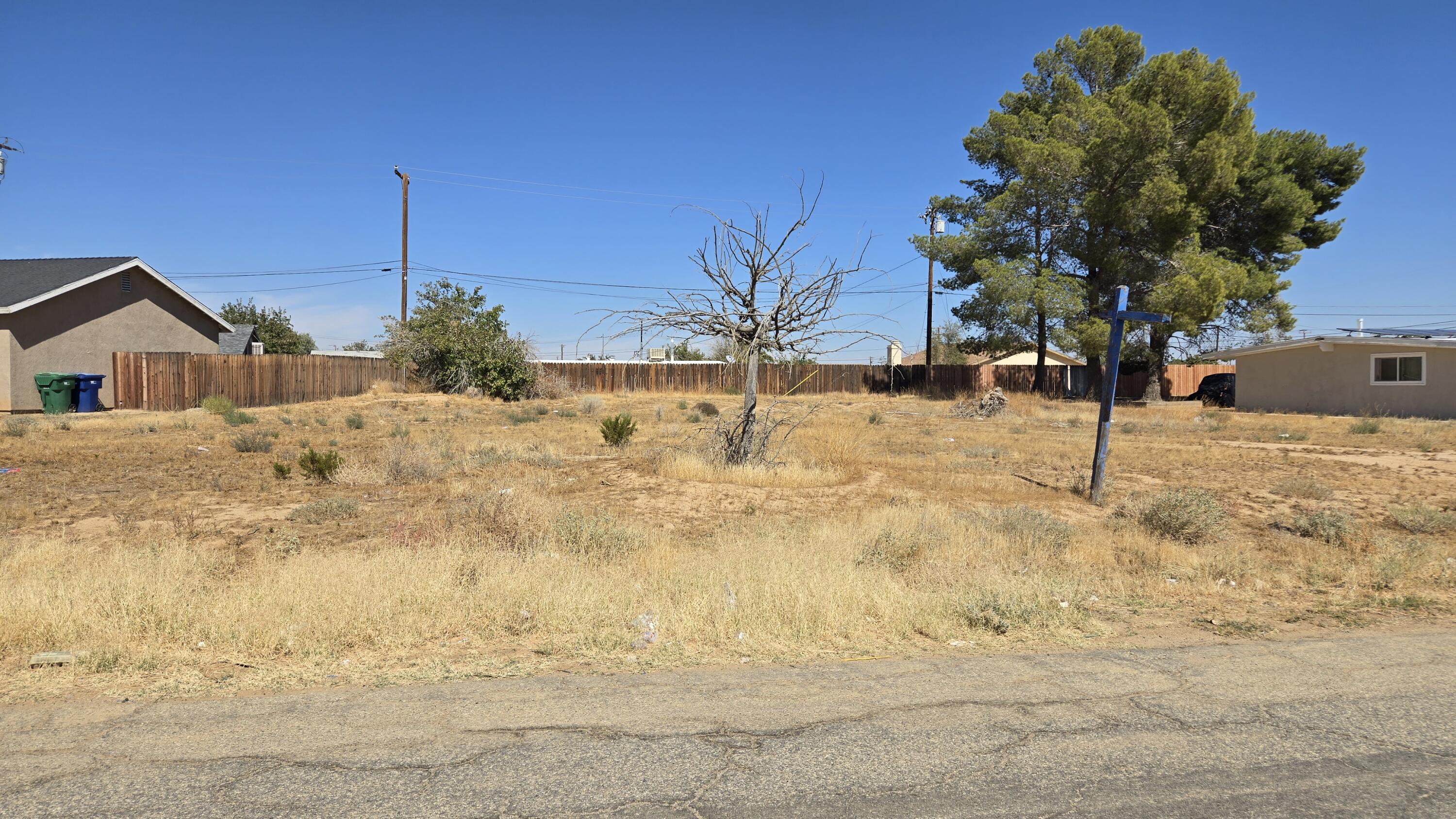 Grapewood Ave Nr Corwin St Property Photo 13