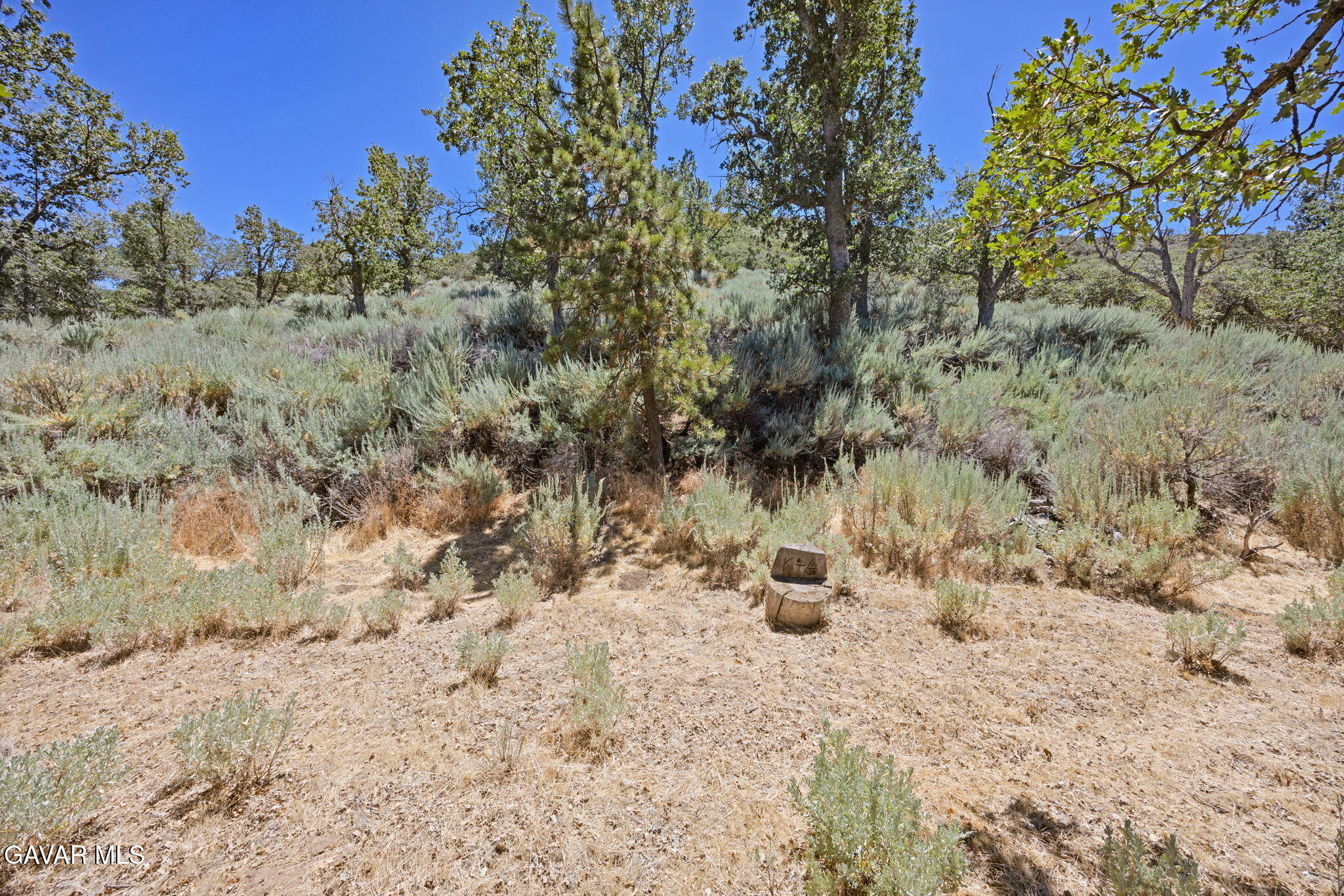 18295 Alps Drive Property Photo 35