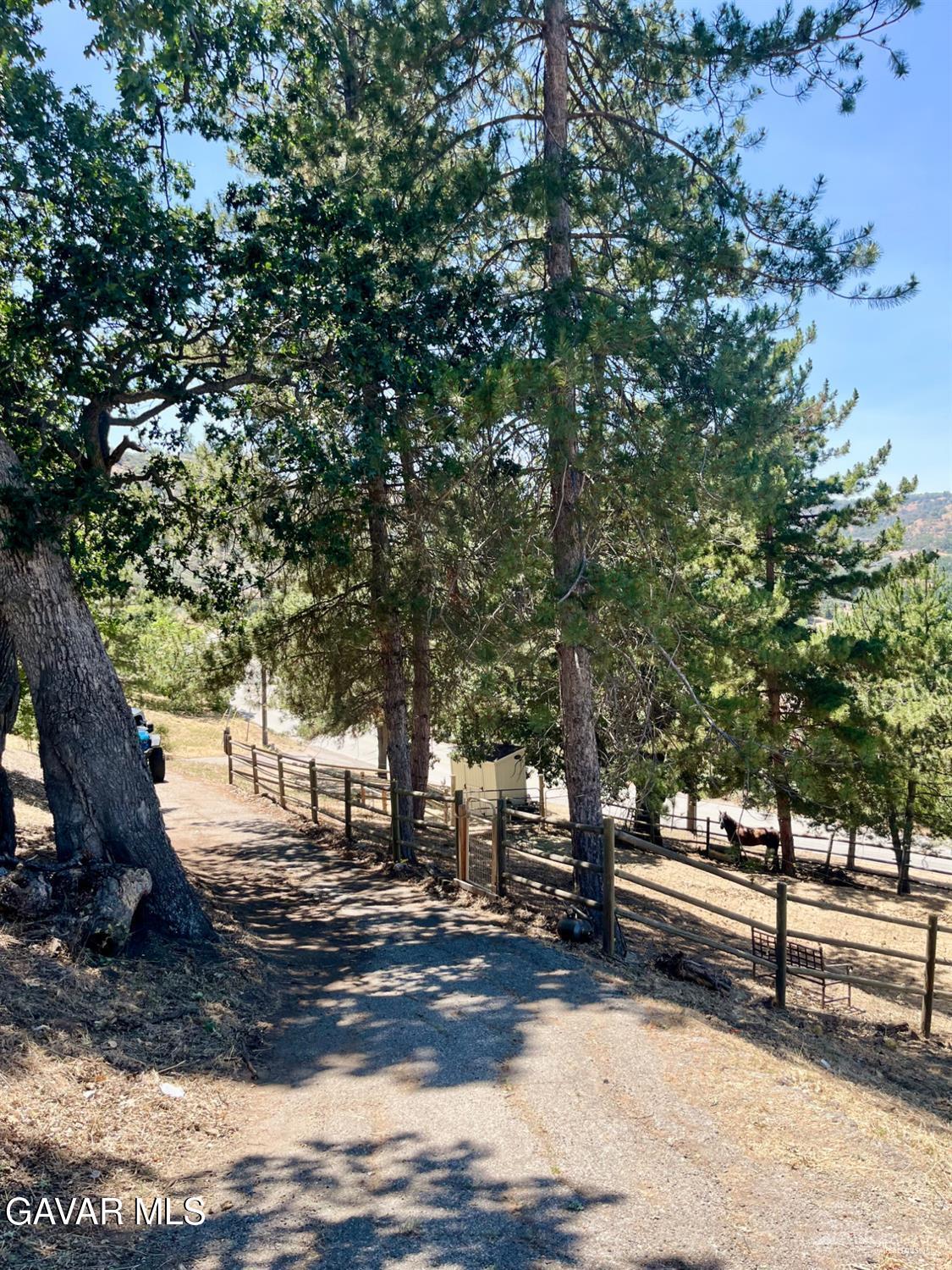 29901 Skyline Drive Property Photo 49