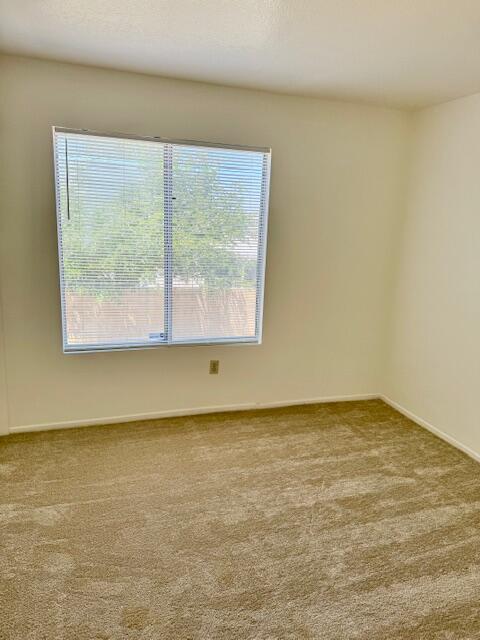 37733 Harvey Street Property Photo 14