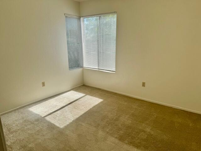37733 Harvey Street Property Photo 15