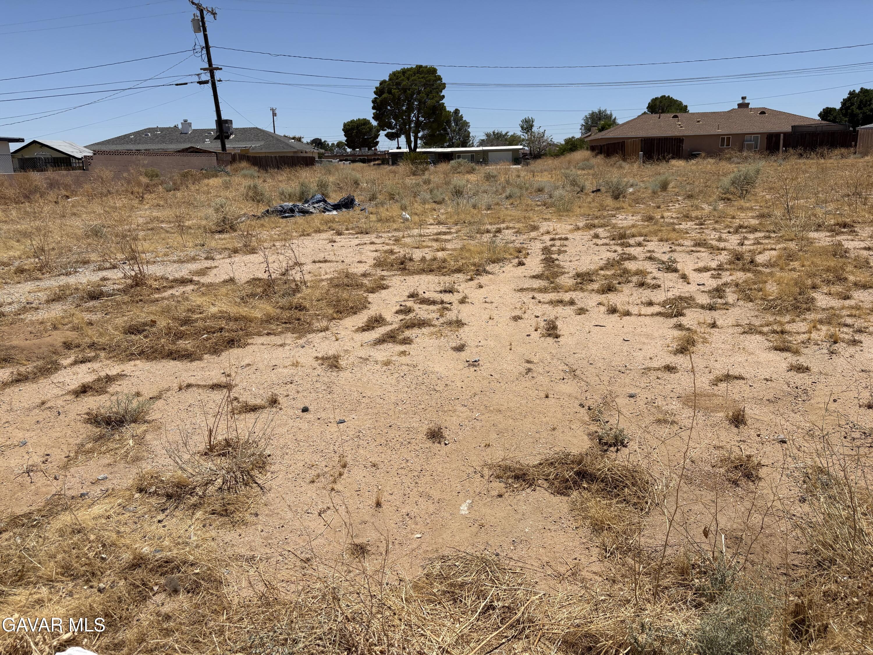 Satinwood Avenue Property Photo 3