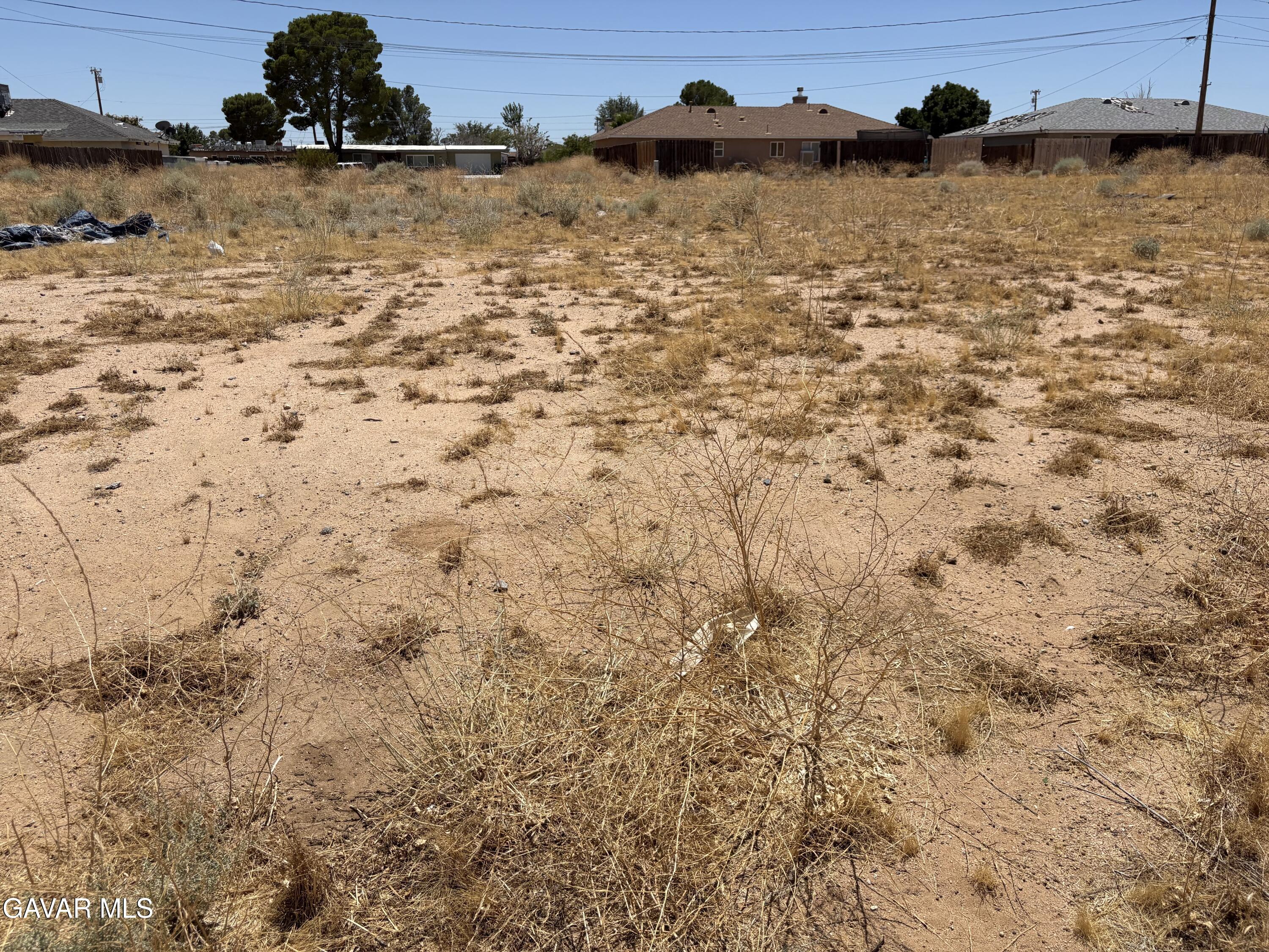 Satinwood Avenue Property Photo 4